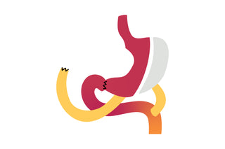 Colorful illustration of a stylized stomach on a white background