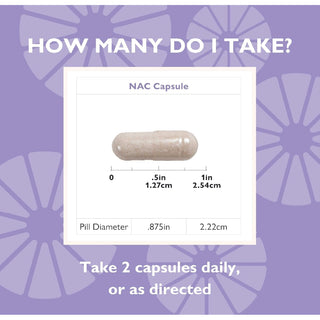 NAC capsule measurements | Celebrate Vitamins