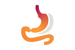 Colorful illustration of a stylized stomach on a white background