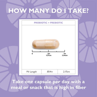 Image showing size and dosage for Celebrate Probiotic plus prebiotic