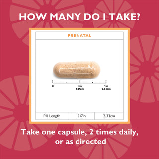 Celebrate vitamins bariatric prenatal vitamin capsules dosage and pill size