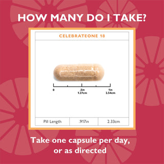 Capsule size of CelebrateONE 18 Once Daily Bariatric Multivitamin with Iron Capsules, 18mg Iron, 90 count