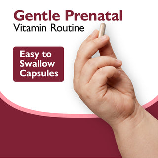 Hand holding a pill with 'Gentle Prenatal Vitamin Routine' text and 'Easy to Swallow Capsules' label on a red and white background.